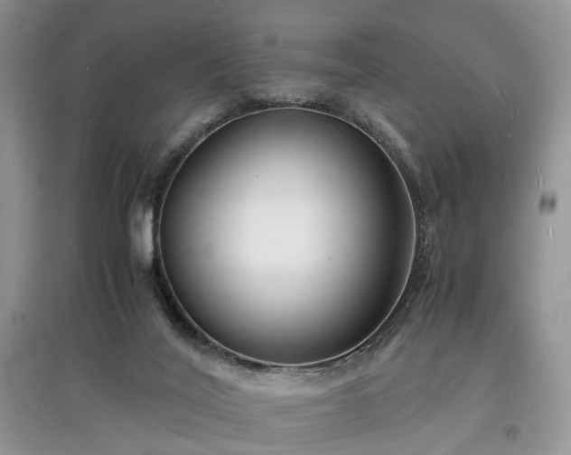 X0000097620020200803071519