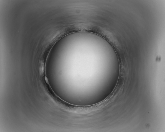 X0000097620021200803071519