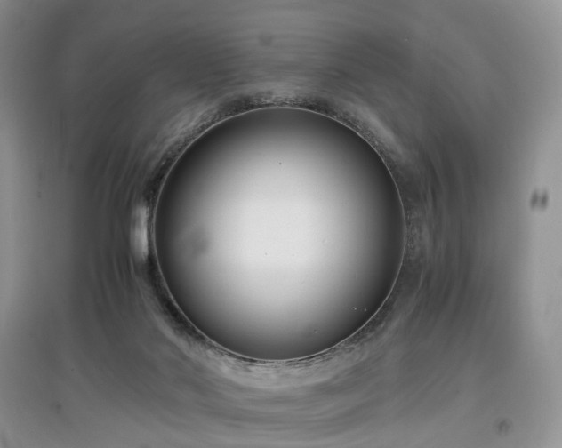 X0000097620022200803071519