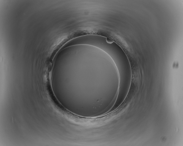 X0000097620023200803071519