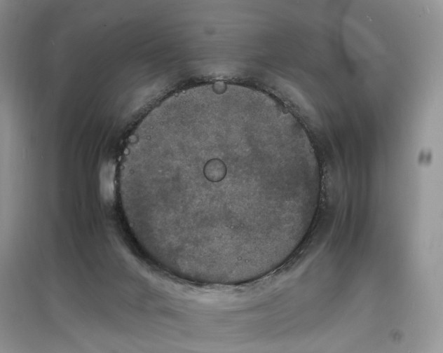 X0000097620024200803071519