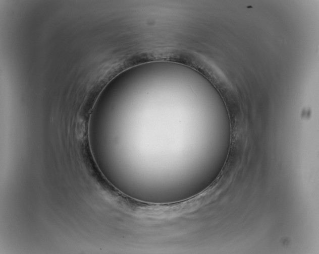 X0000097620025200803071519