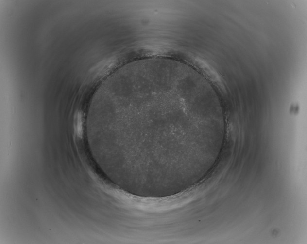 X0000097620026200803071519