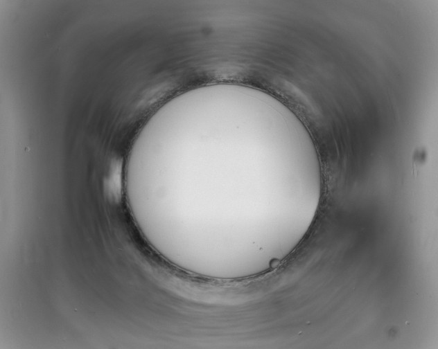 X0000097620028200803071519