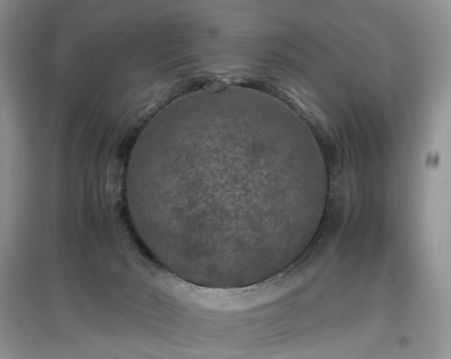 X0000097620030200803071519