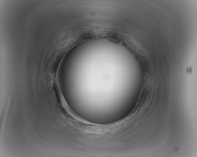X0000097620033200803071519