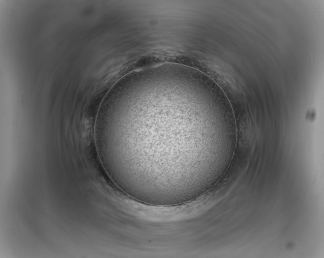 X0000097620034200803071519