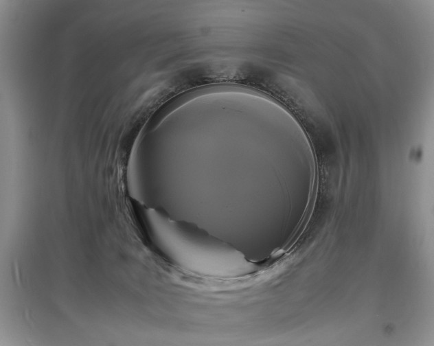 X0000097620035200803071519