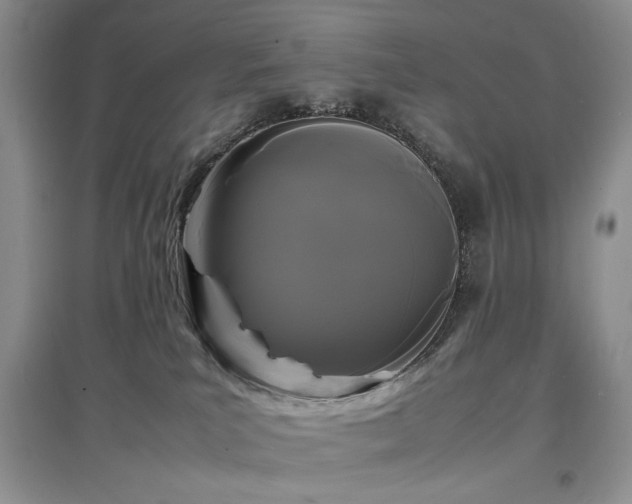 X0000097620039200803071519