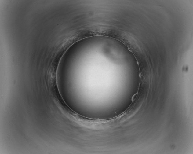 X0000097620040200803071519