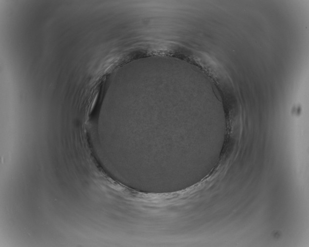 X0000097620041200803071519