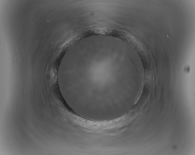 X0000097620043200803071519