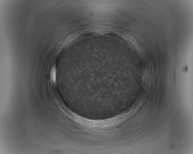 X0000097620046200803071519