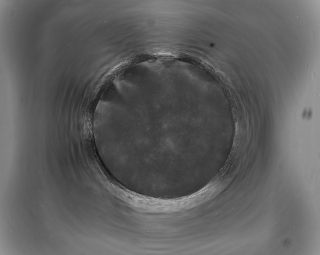 X0000097620048200803071519