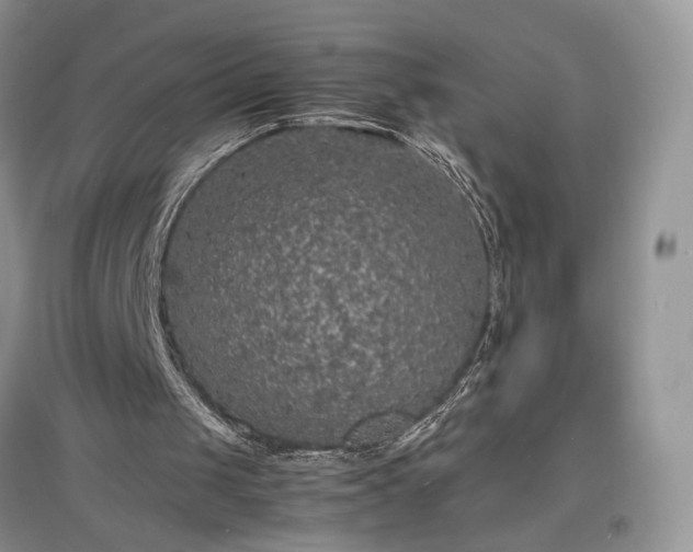 X0000097620049200803071519
