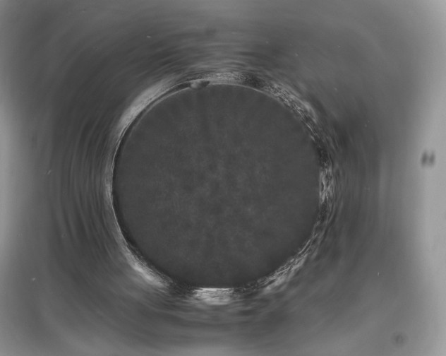 X0000097620051200803071519
