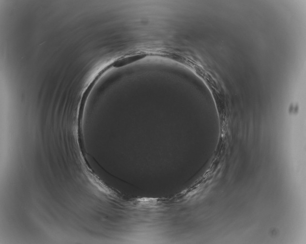 X0000097620052200803071519