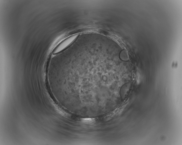 X0000097620053200803071519