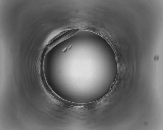X0000097620054200803071519