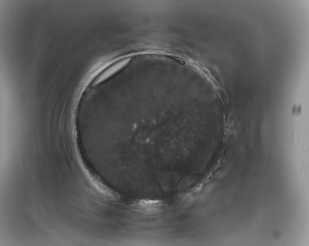 X0000097620055200803071519