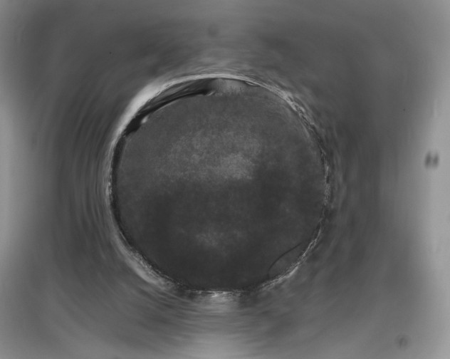 X0000097620056200803071519