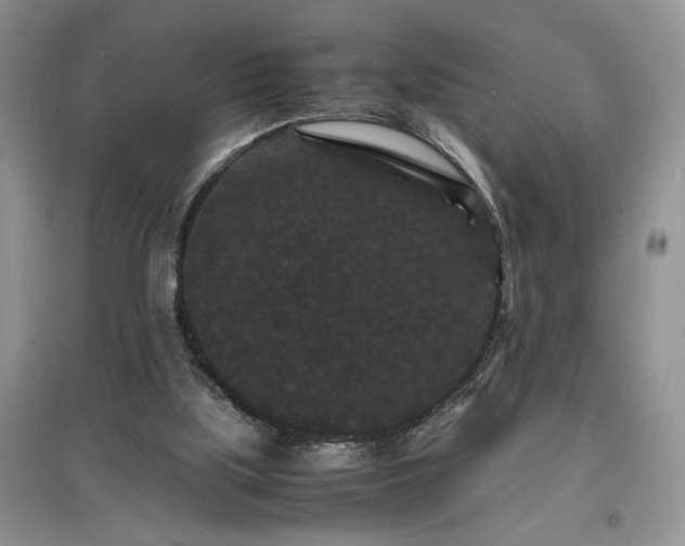 X0000097620059200803071519