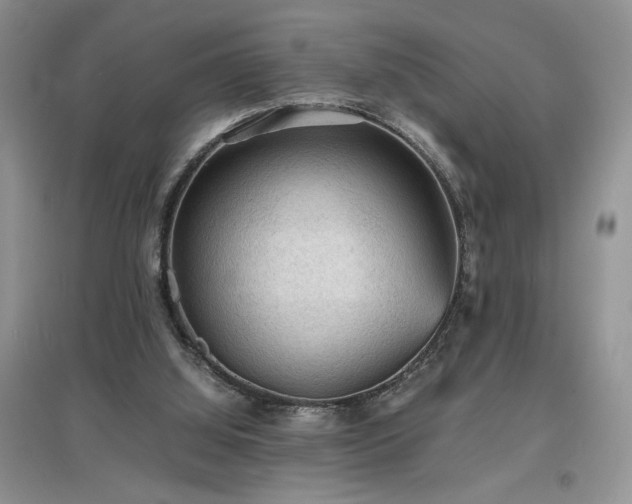 X0000097620060200803071519