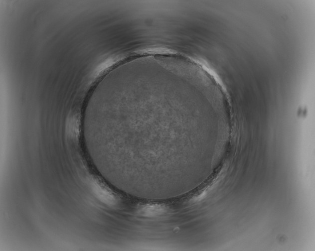 X0000097620063200803071519