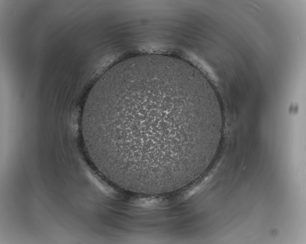 X0000097620065200803071519