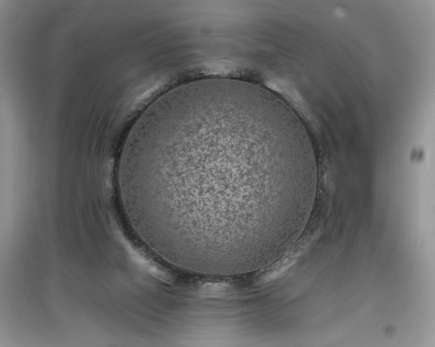 X0000097620066200803071519