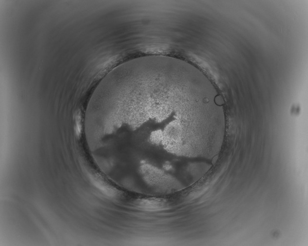 X0000097620069200803071519