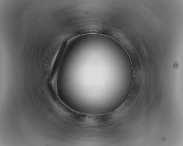 X0000097620070200803071519