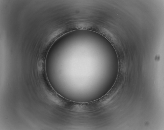 X0000097620071200803071519
