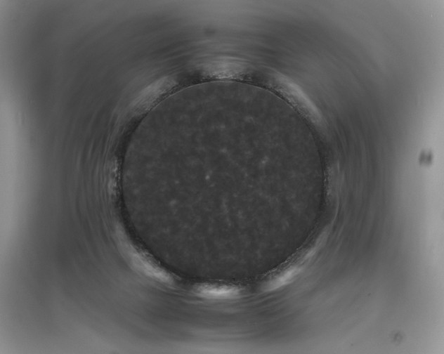 X0000097620073200803071519