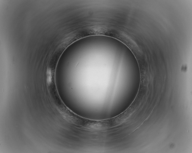 X0000097620075200803071519
