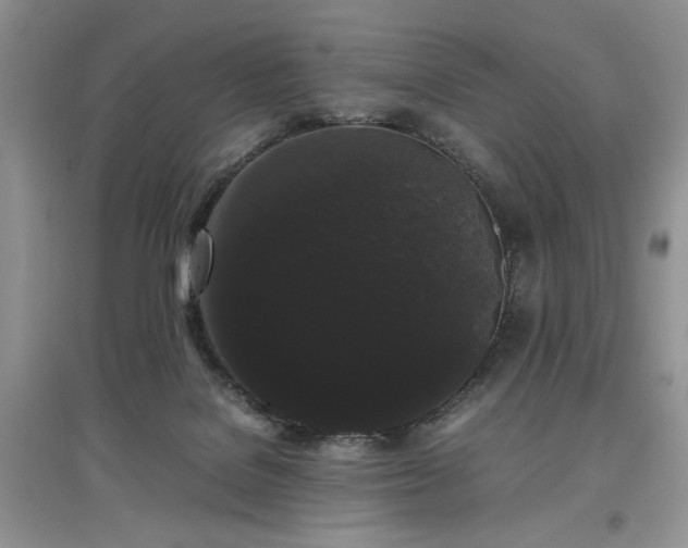 X0000097620076200803071519