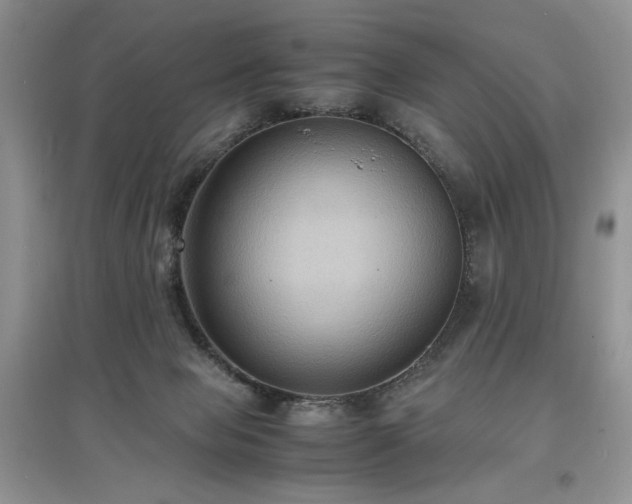 X0000097620077200803071519
