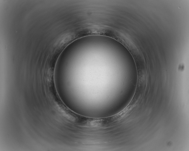 X0000097620078200803071519