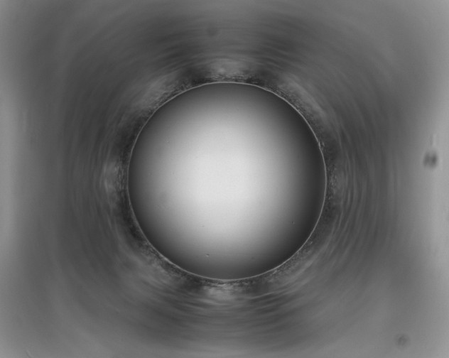 X0000097620079200803071519