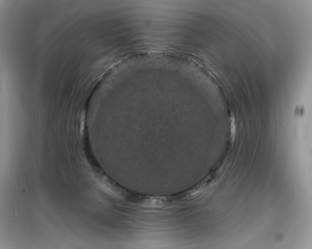 X0000097620080200803071519