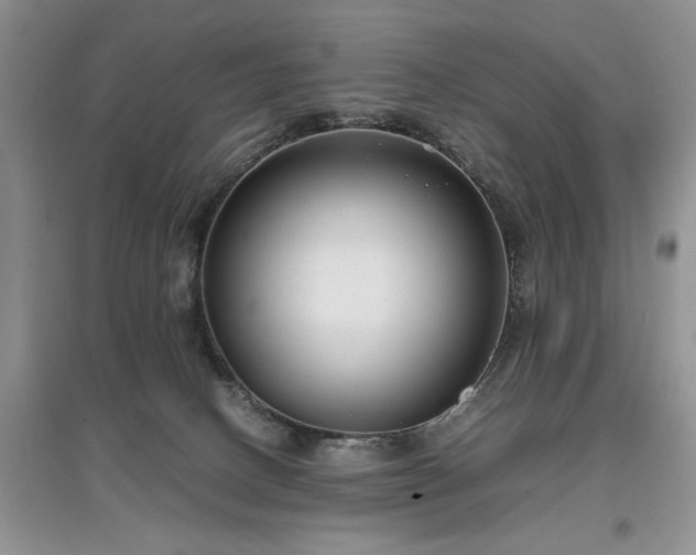 X0000097620082200803071519