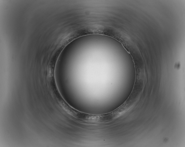 X0000097620084200803071519