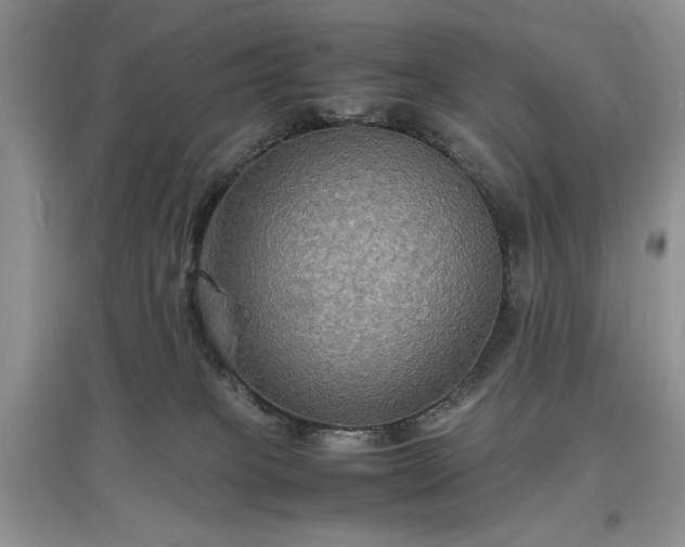 X0000097620085200803071519