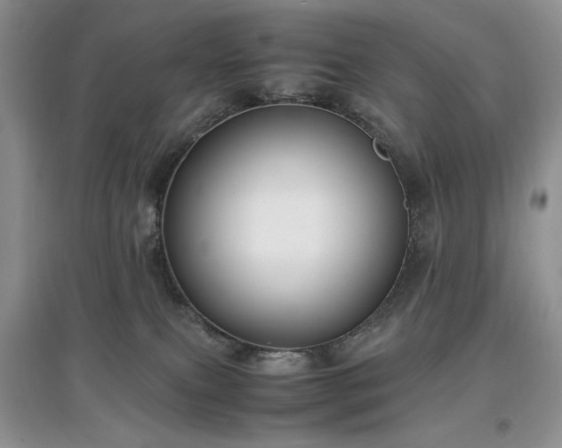 X0000097620087200803071519