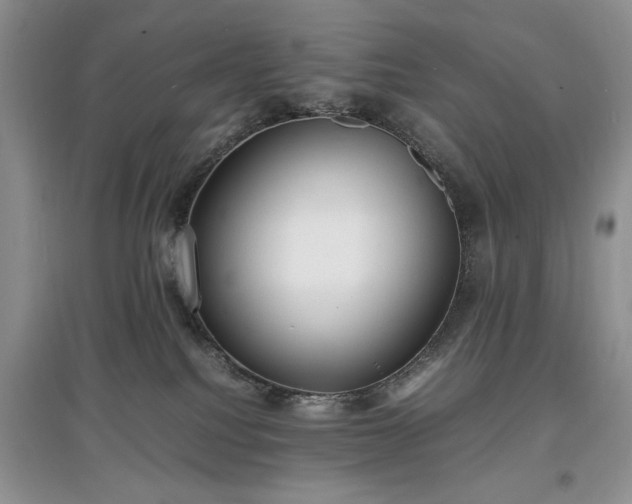 X0000097620088200803071519
