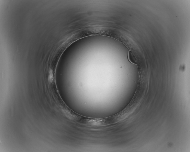 X0000097620089200803071519