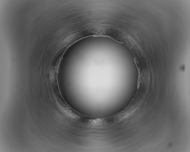 X0000097620092200803071519