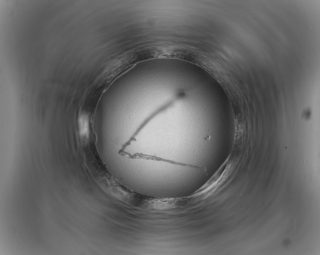 X0000097620094200803071519