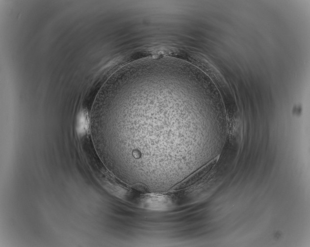 X0000097620095200803071519