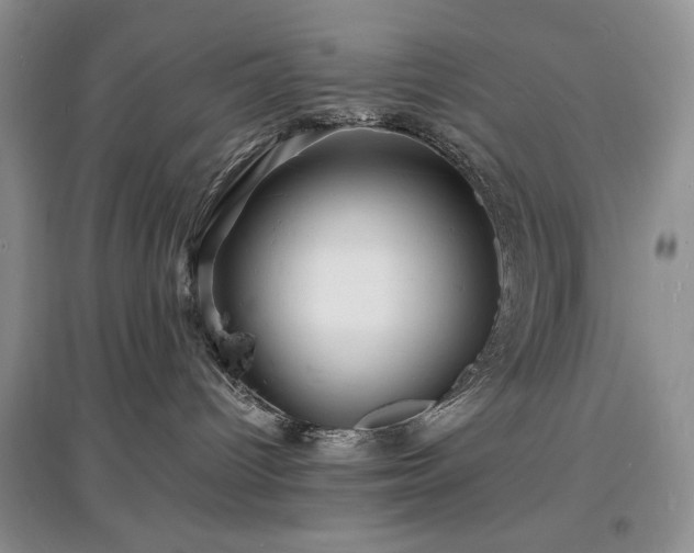 X0000097620096200803071519